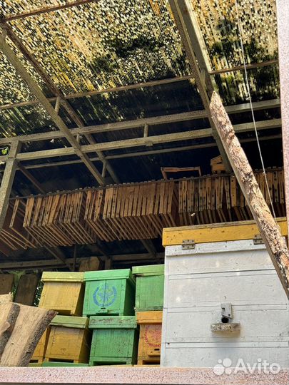 Ульи, улики, лежаки