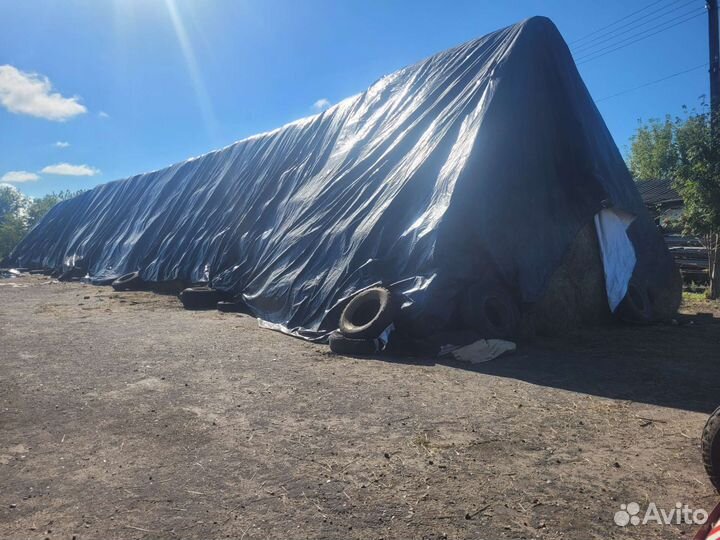 Сено разнотравье луговое