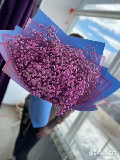 Гипсофила цветы доставка