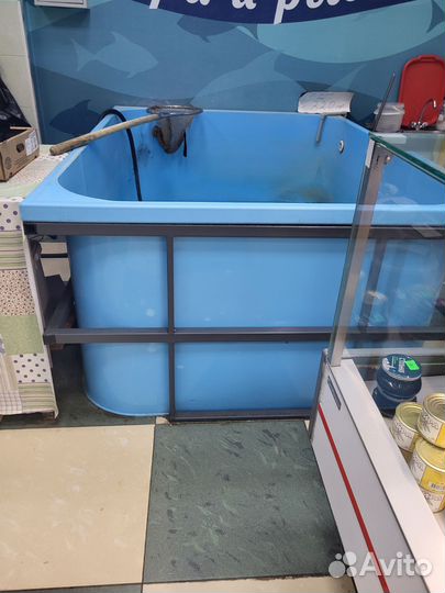 Продам бассейн