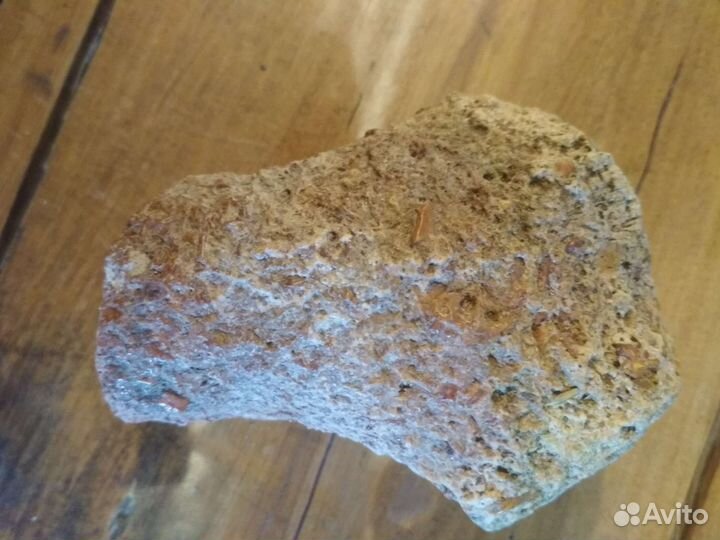 Окаменелая кость