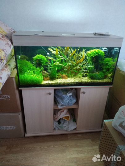 Аквариум 200 л