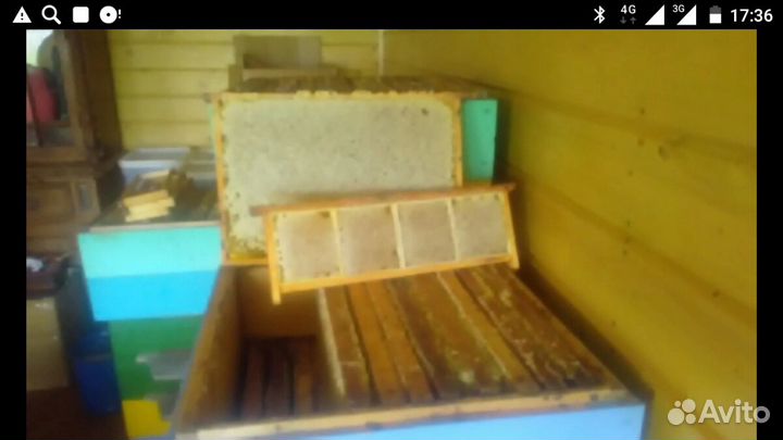 Мед цветочный, разнотравье с личной пасеки