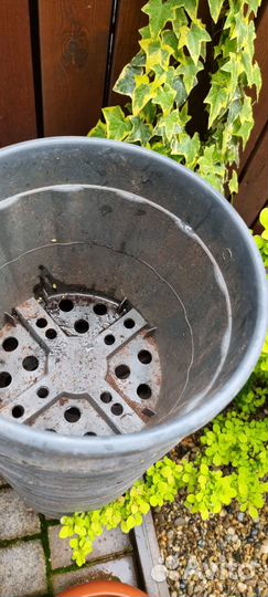 Горшок для растений