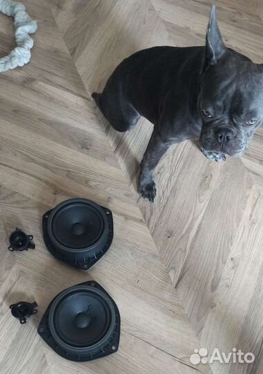 Динамики haval f7 передние