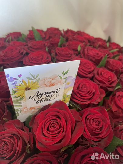 101 роза оптом Цветы Доставка Розы 15 25 51