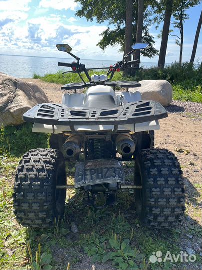 Квадроцикл mowgli hardy 8