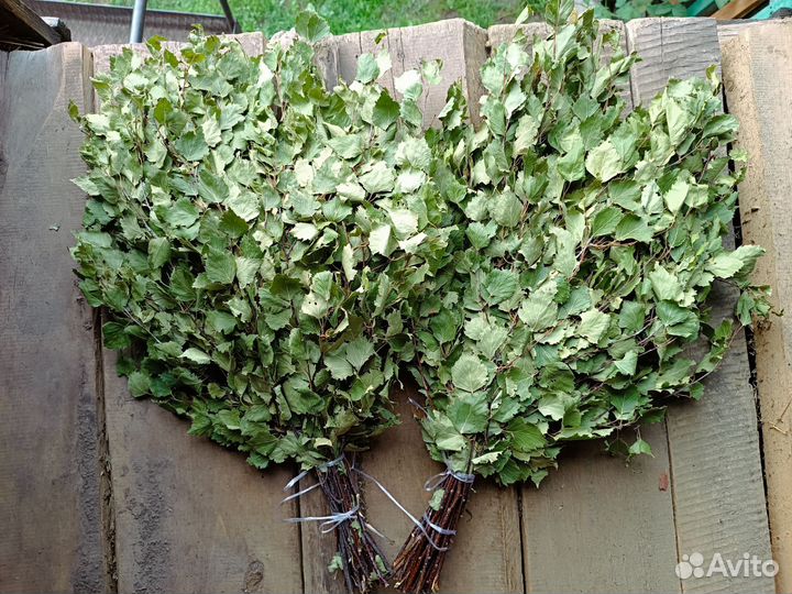 Веники березовые для бани