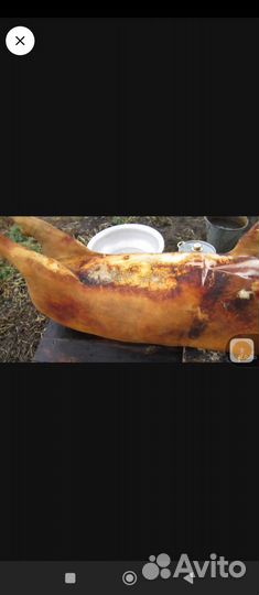 Мясо свинина домашняя