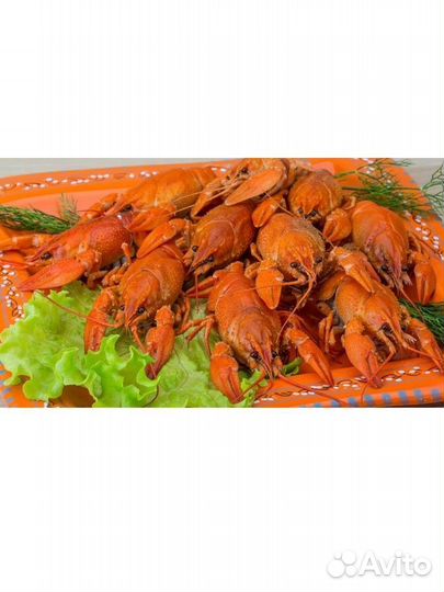 Раки