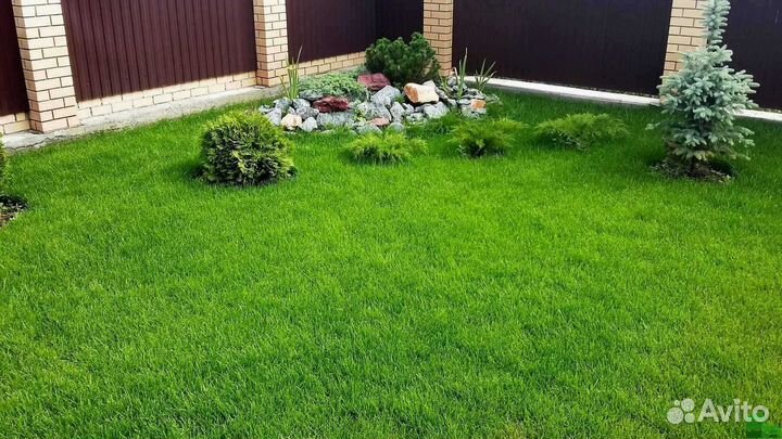 Укладка рулонного газона