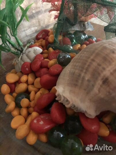 Аквариум на 10 литров