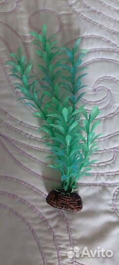 Растения для аквариума декор