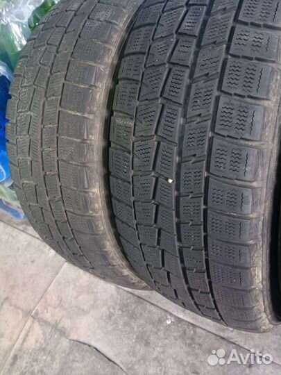 Dunlop Winter Maxx WM01 205/55 R16 94T