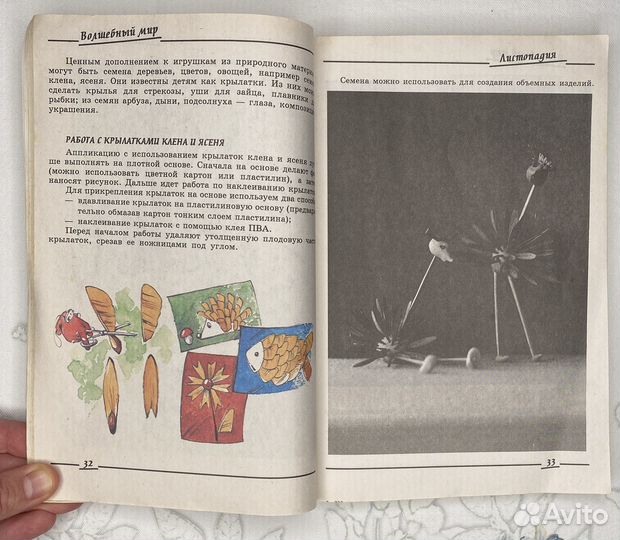 Книга Природные дары для поделок и игры