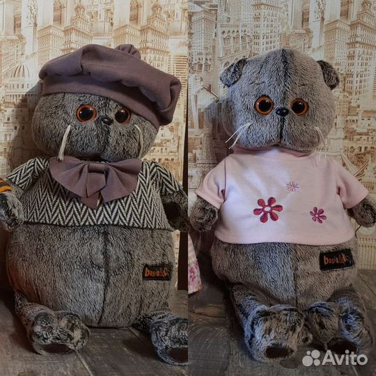 Большие Коты Басик