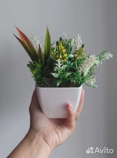 Трава в кашпо