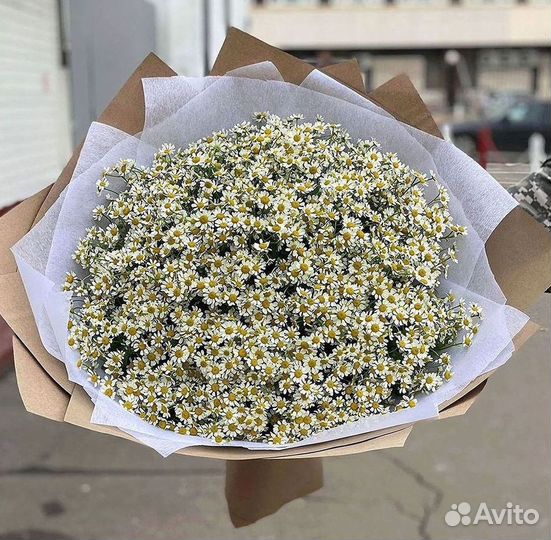 Ромашки букет