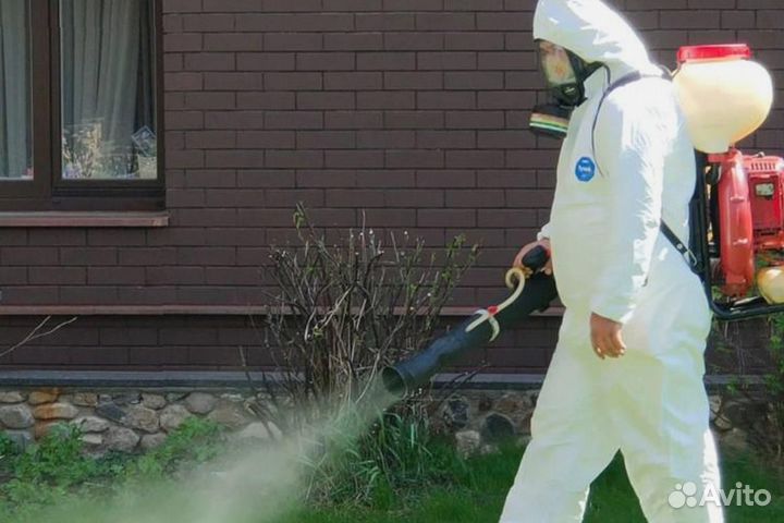 Уничтожение клопов тараканов грызунов блох плесени