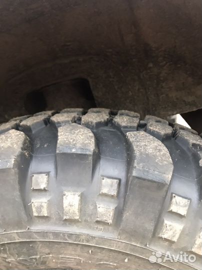 Forward Forward Safari 500 10.5/80 R15