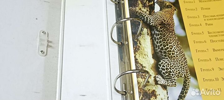 Энциклопедия в мире дикий животных