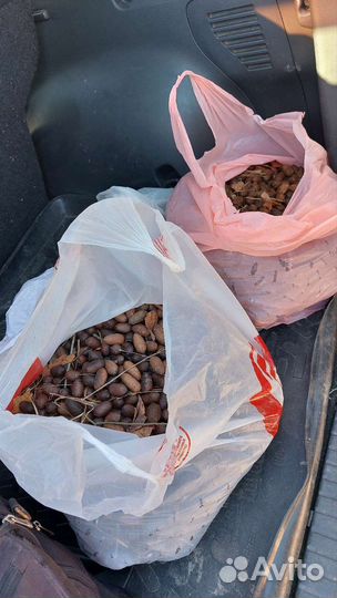 Лосиный помет (навоз)