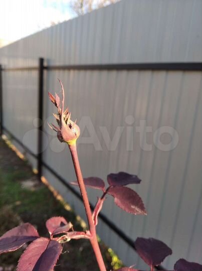 Дом 58,5 м² на участке 5 сот.