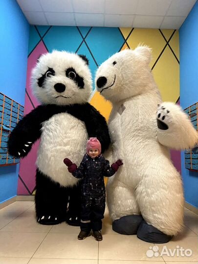 Аниматор белый мишка или панда на праздник