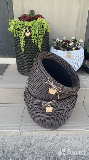 Кашпо для цветов