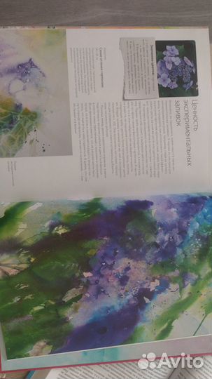 Книга Джин Хэйнс Живые цветы акварелью