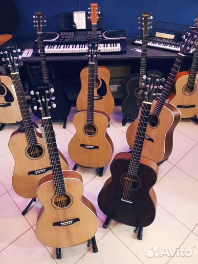 Гитары Parkwood массив с чехлом