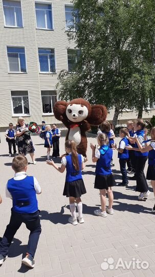 Поздравление от Чебурашки