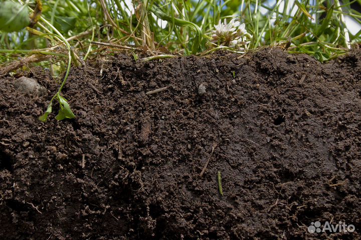 Чернозем, грунт, земля от карьера