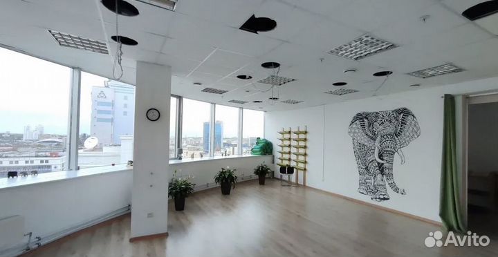 Студия йоги