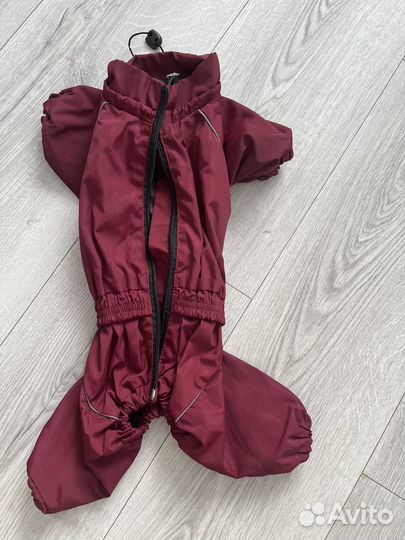 Вещи для маленькой собаки пакетом