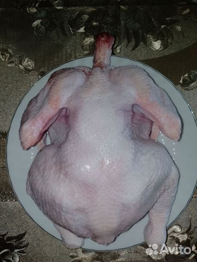 Мясо домашнего бройлера