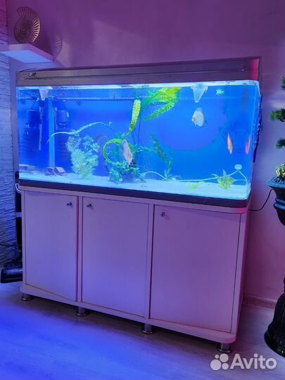 Аквариум с тумбой jebo