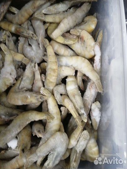 Лангустины креветки