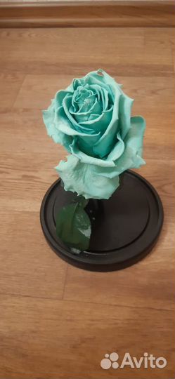 Подарочный сувенир