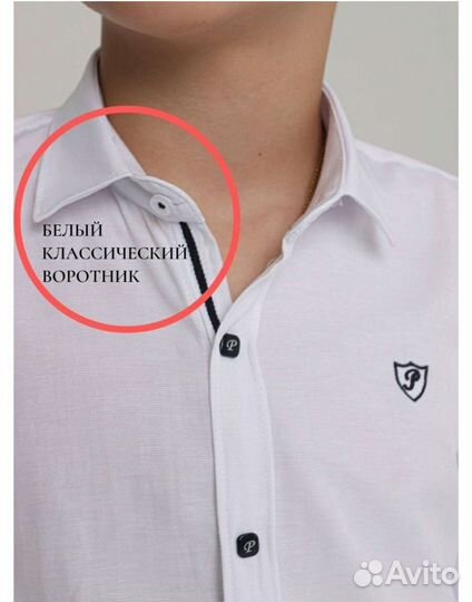 Рубашка Pacifico junior