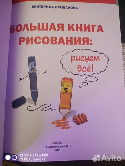 Большая книга рисования. Екатерина Приваловва
