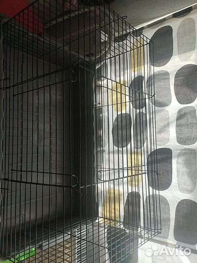 Клетка для грызунов