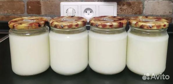 Барсучий жир