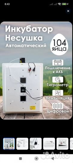Инкубатор несушка б/у 104 и 77