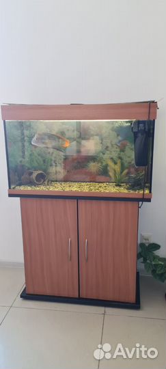 Аквариум с тумбой