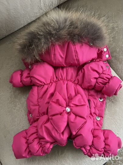 Комбинезон Королевский для маленькой собачки