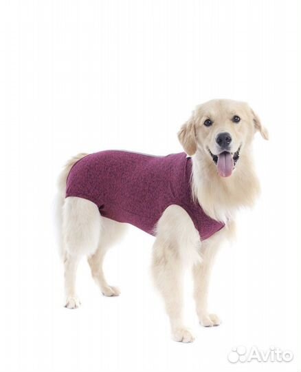 Послеоперационная попона для собак и кошек