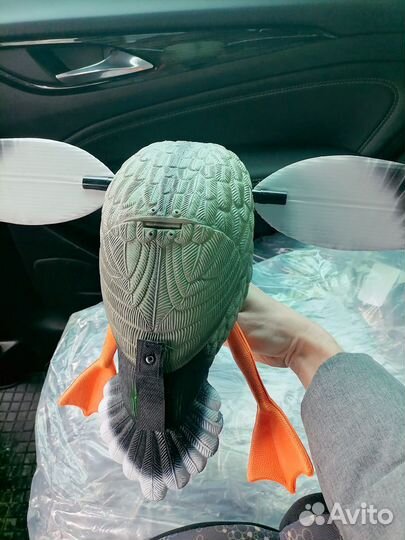 Махокрыл утки электрический, селезни