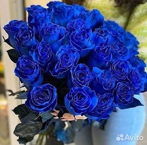 Синие розы. Букеты Цветы доставка