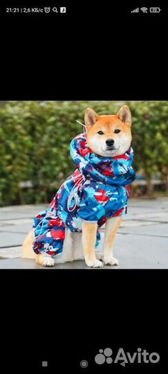 Комбенизон, щетка